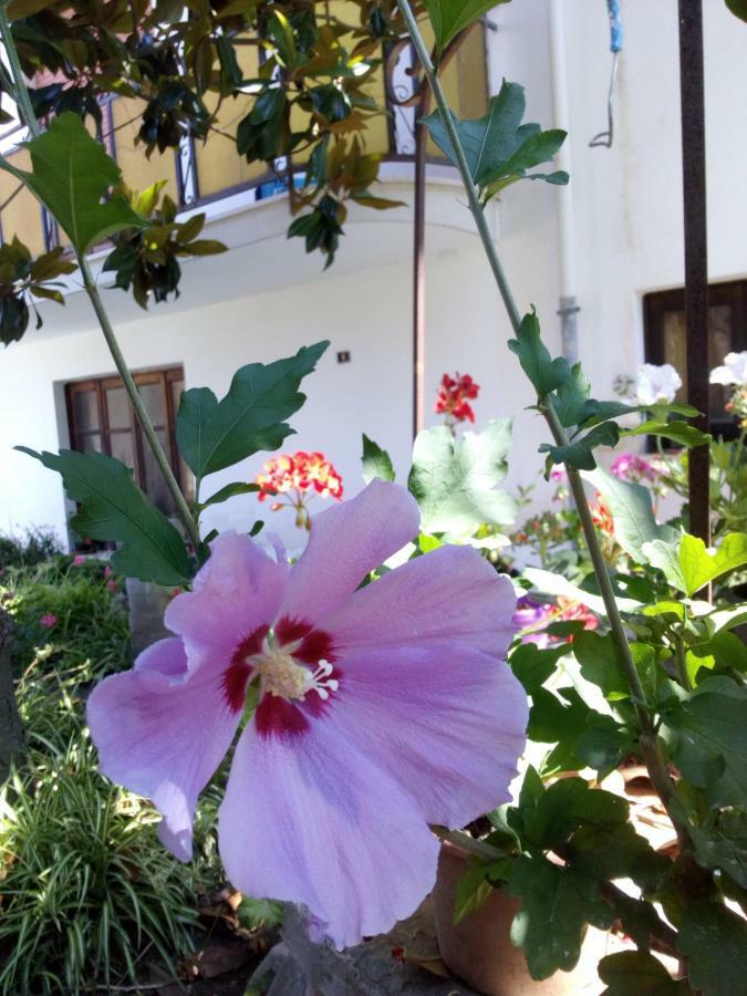 Casa Vacanze Terme Terme Vigliatore Dış mekan fotoğraf