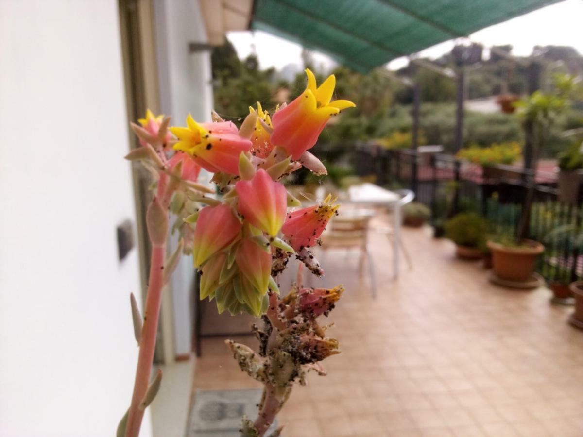 Casa Vacanze Terme Terme Vigliatore Dış mekan fotoğraf